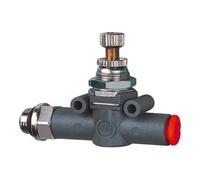 RIEGLER Riegler Vanne d'étranglement double face, filetage-tuyau, G 1/4, Ø tuyau 8 Quantité:1