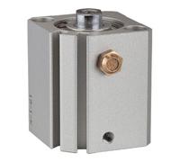 RIEGLER Riegler Vérin à course courte »ASQ« simple effet, Ø piston 25, course 5, M5x0,8 Quantité:1