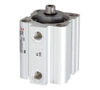 RIEGLER Riegler Vérin à course courte, double effet, magnétique, Ø piston 80, course 5, G 1/4 Quantité:1