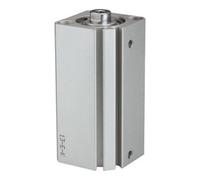 RIEGLER Riegler Vérin compact »ACQ« double effet, Ø piston 25, course 80, M5x0,8 Quantité:1