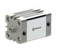 RIEGLER Riegler Vérin compact, double effet, IG, Ø 100, Course 50, G 1/8, 15.DMI.100050 Quantité:1