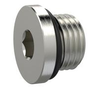 RIEGLER Riegler Vis de fermeture, hexagone intérieur 3 mm, G 1/8, joint torique NBR, MSN Quantité:1
