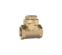RIEGLER RK112MSNBRE Clapet anti-retour DN 40, fonte rouge, G 1 2, PN Max. 16 bars.