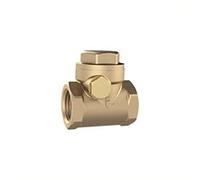 RIEGLER RK114MSNBRE Clapet anti-retour DN 32, fonte rouge, G 1 4, PN Max. 16 bars.