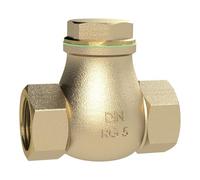 RIEGLER RK114RG Clapet anti-retour DN 15, laiton G 1/2, PN Max. 16 bars.