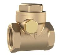 RIEGLER RK38MSNBRE Clapet anti-retour DN 80, laiton G 3, PN Max. 8 bars.