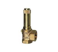 Riegler - Valve de sécurité Eck, G 1, créer 2,5 bar de pression rI 221.05 - 2,5