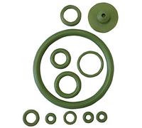 Riegolux 710102 Joint Viton Kit de Rechange pulvérisateur 710097
