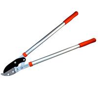 Riegolux - 890181 - Poêle 2 Mains avec Yunque - 750 mm