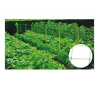 Riegolux 999156 Filet Entoureur 20 x 20 cm Vert 2 x 25 m