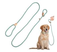 Rieoany Laisse Anti Traction Chien, 180cm Longe pour Chien en Polyester, Laisse Lasso Adjustable, Léger Contrôle pour Promenade Education Canine, Cyan