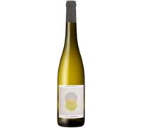 Riesling 2025 - Sophie Schaal