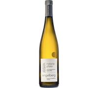 Riesling Grand Cru Engelberg 2024 - Melanie Pfister