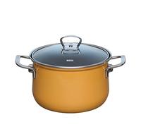 Riess, 0653-113 Marmite avec couvercle en verre 20 cm, 3,5 l, orange, 28,7 x 21,7 x 19 cm, poids 1,758 kg, émail