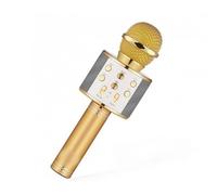 Riff WS-858 Microphone karaoké avec haut-parleurs AUX et Micro SD Or