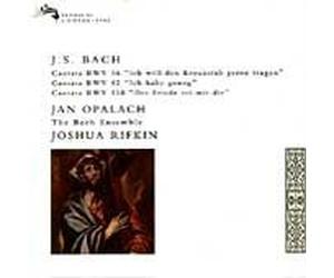 Rifkin/Opalach/Bach Ensemble - Cantatas