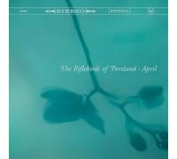 Riflebirds of Portland - April