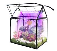 RIFNY Kit de terrarium avec lampe de croissance, grand pot de terrarium en verre avec tapis absorbant et couvercle pour piège à mouches Vénus, plantes grasses vivantes, décoration d'intérieur et de