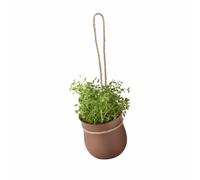 RIG-TIG by stelton CROW-IT Pot à herbes aromatiques différentes finitions, choix:terracotta