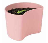 Rig-Tig YOUR TREE Pot de fleurs avec graines rose, Set de culture d'arbres, d...