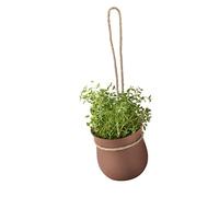 rig tig Z00130-1 Pot à Herbes Marron