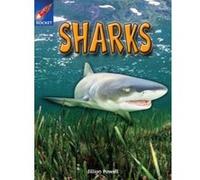 Rigby Star Independent Year 2 Gold Non Fiction: Sharks Single: Gold Level Non-fiction Powell, Ms Jillian (Auteur)