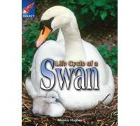 Rigby Star Independent Year 2 Turquoise Non Fiction: Life Cycle Of A Swan Single