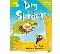 Rigby Star Phonic Guided Reading Green Level: Big Spider Teaching Version | kolektiv kolektivkolektiv (Auteur)