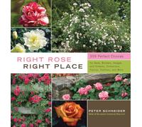 Right Rose, Right Place