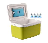 Rigide, petite glacière portable avec poignée, conservation des boissons et des aliments frais 15 litres Camping pique-nique plage