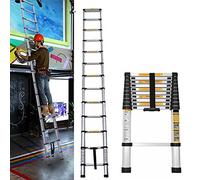 Rigogo - Échelle télescopique en acier inoxydable de 3,8 m - Échelle debout antidérapante avec 13 barreaux - Échelle extensible - Capacité de charge de 150 kg - EN131