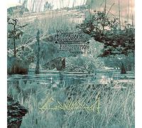 Rigorous Institution - Cainsmarsh [Import]