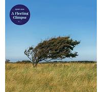 Riis,Bjorn - A Fleeting Glimpse (Lim. Transparent Blue Vinyl) [Import]