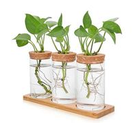 Riisoyu 3 Pièces Stations de Propagation de Plante, Vases Hydroponique avec Socle et Couvercle en Bois Vase en Verre Hydroponiques pour Vases à Fleurs Décoration Maison, Bureau et Patio