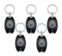 Riisoyu Lot de 5 Mini Lampe Porte Clés, Porte-clé de Poche avec Lumière LED Portable Ultra Lumineux Batterie Alimentée Torche pour l'Extérieur Camping Fête Randonnée Eclairage d'Urgence