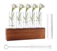 Riisoyu Lot de 6 tubes à essai - Vase à fleurs - Station de propagation des plantes avec brosse de nettoyage - Petits vases avec support en bois - Station de propagation en verre - Plantes