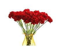 Rikyo Bouquet de Fleurs artificielles de 50 cm avec 10 tiges d'œillets - Ne se décolore Pas - Fleurs artificielles en Soie - pour fête de Mariage, Restaurant, Fond de Mariage, Centre de Table - Rouge