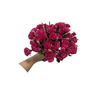 Rikyo Bouquet de fleurs artificielles en soie, oeillets, 30,5 cm, bouquet et feuilles pour la maison, fête, mariée, mariage, festival, décoration, avec 10 pièces par bouquet (Violet)