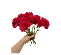 Rikyo Bouquets de 27,9 cm - 10 œillets - Résistant aux UV - Ne se décolore Pas - Mini pétales en Soie - Plantes éternelles pour Photos, Accessoires Photo, décoration de fête et de Mariage (rouge-10)