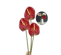 Rikyo Fleurs de lys artificielles d'anthurium de 66 cm, 3 Bouquets de Fleurs d'imitation Tropicale pour Restaurant, Fond de Mariage, centres de Table et décoration de Mariage, Festival (Rouge)