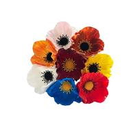 Rikyo Lot de 10 Bouquets de Fleurs artificielles de 27,9 cm en polyuréthane pour Table de Cuisine, Centre de Table, Maison, Mariage, Toile de Fond, Mur d'arche (10 Couleurs)