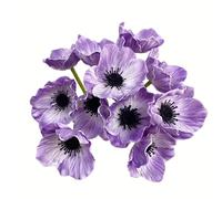 Rikyo Lot de 10 bouquets de fleurs de coquelicot artificielles en polyuréthane - 27,9 cm - Pour cuisine, table, centre de table, vase, maison, mariage, toile de fond, arche murale (violet)