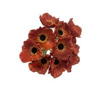 Rikyo Lot de 10 Bouquets de Fleurs de Coquelicot artificielles en polyuréthane - Ne se décolorent Pas - pour décoration de Table de Cuisine, Vase, Maison, Mariage, décoration Murale (Brun)