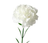 Rikyo Lot de 10 Bouquets d'œillets artificiels en Soie, tête de Fleur Unique de 50 cm, Bouquet et Feuille Verte pour Toile de Fond de Mariage,fête de la Maison,Mariage décoration de Fleurs (Blanc)