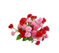 Rikyo Lot de 4 bouquets de fleurs artificielles en soie, bouquet de 35,6 cm et feuilles vertes pour fête à la maison, mariage, festival, décoration avec 12 fleurs par bouquet (rose + rouge)