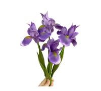 Rikyo Lot de 4 fleurs d'iris artificielles en soie à longue tige de 45,7 cm pour arrangements, centre de table, fête et mariage, fleurs artificielles pour décoration (violet)