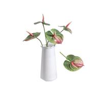 Rikyo Lot de 5 fleurs de lys artificielles permanentes en anthurium pour décoration d'intérieur, mariage, festival, artisanat, décoration de magasin (vert) 61 cm