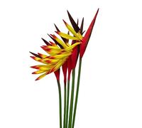 Rikyo Strelitzia Lot de 6 Fleurs artificielles - Oiseau de Paradis - 58,4 cm - Bouquets de Fleurs Tropicales d'imitation pour Bureau, Maison, fête, Arrangement, Plantes en Pot (Jaune)
