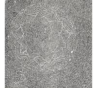 Riley, Terry - Poppy Nogood