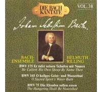 Rilling - Bach Cantatas Vol.38 [Import]